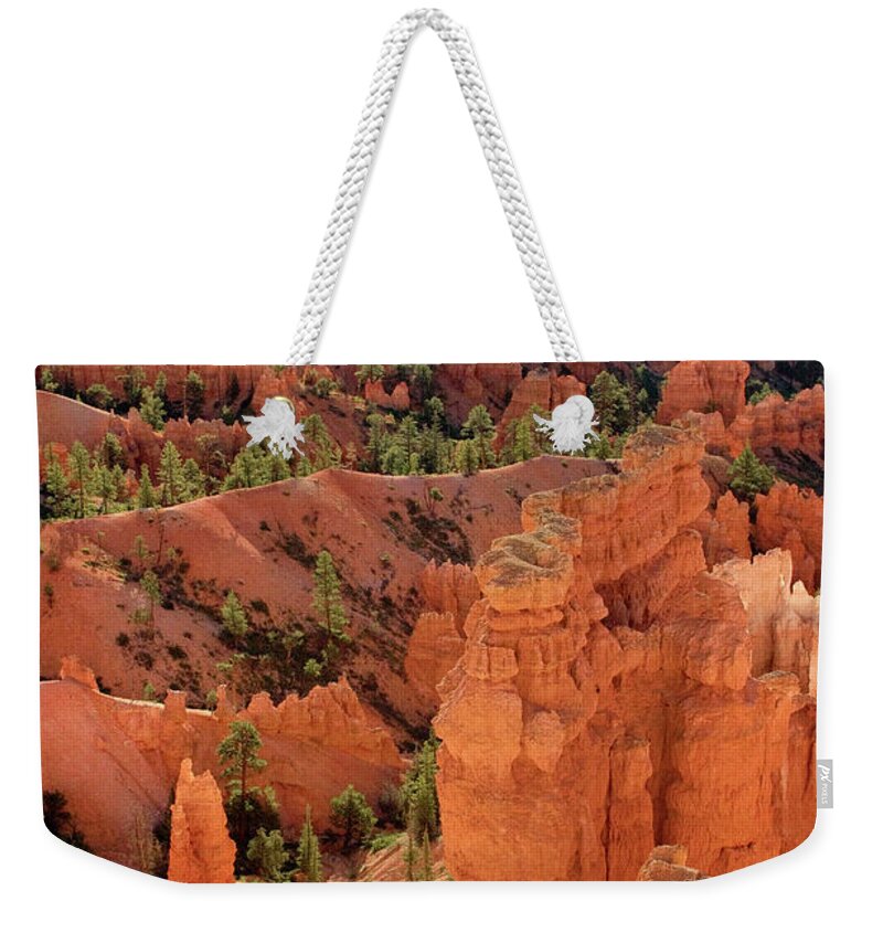 North America Weekender Tote Bag featuring the photograph Sandstone Hoodoos At Sunrise Bryce Canyon National Park Utah by Dave Welling
