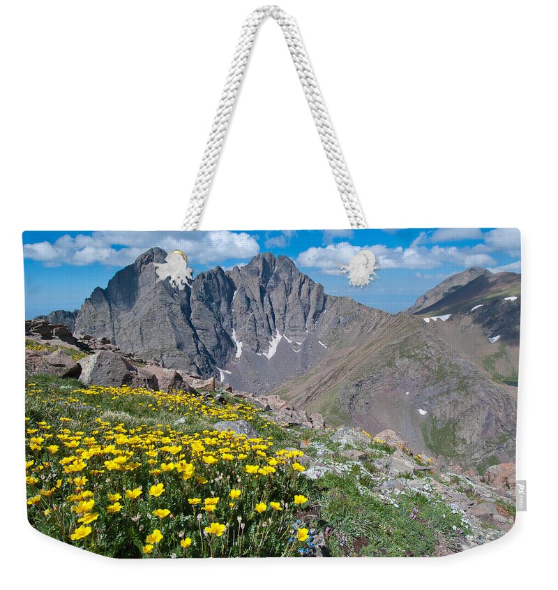 Colorado Weekender Tote Bag featuring the photograph Sangre de Cristos Crestone Peak and Wildflowers by Cascade Colors