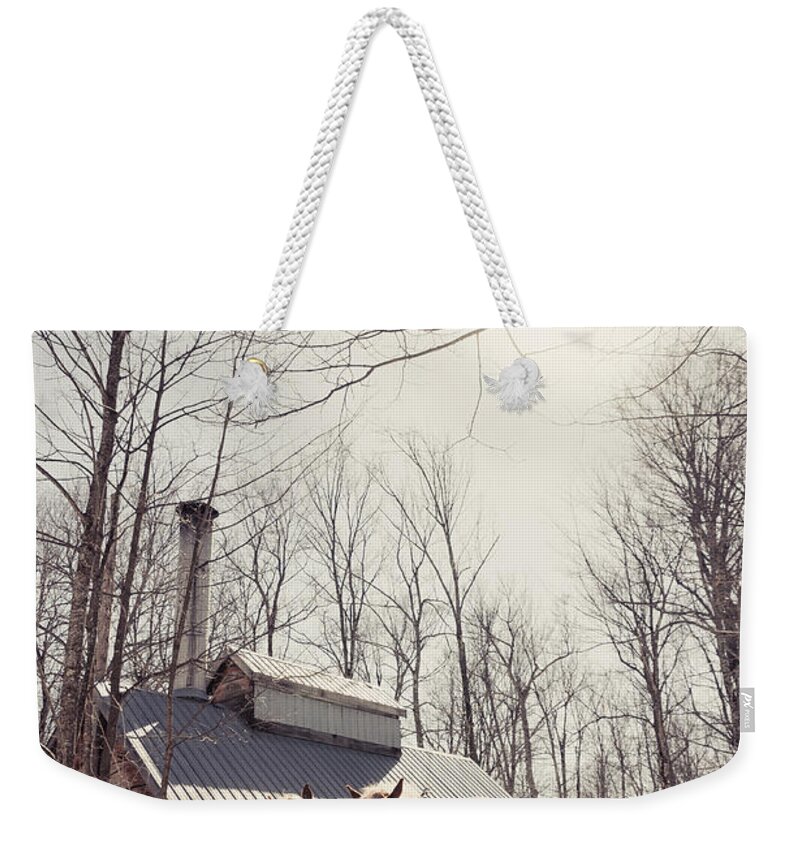 Maple Syrup Weekender Tote Bag featuring the photograph Sap Collection by Cheryl Baxter