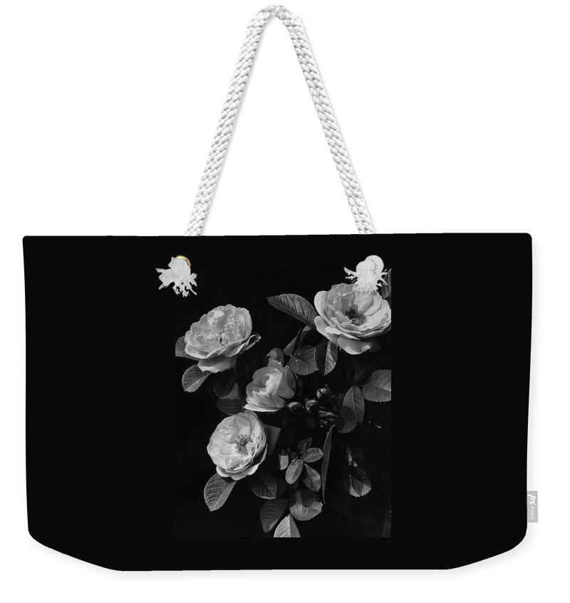Sarah Van Fleet Variety Of Roses Weekender Tote Bag
