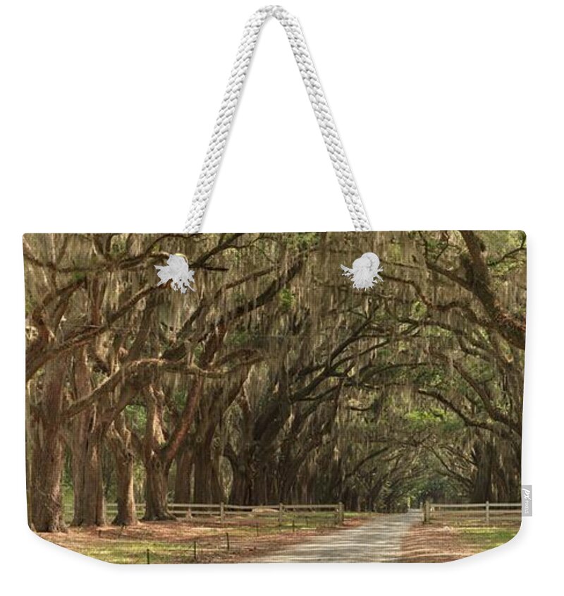 Avenue Of The Oaks Weekender Tote Bag featuring the photograph Savannah Avenue Of The Oaks Panorama by Adam Jewell