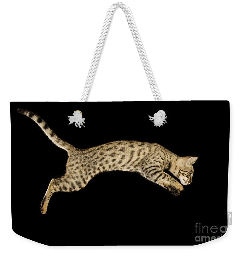 Savannah Cat Weekender Tote Bag featuring the photograph Savannah Cat by Terry Whittaker
