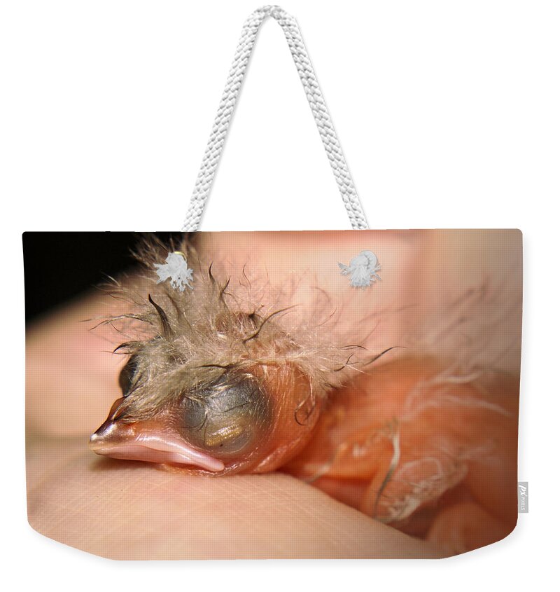 Bird Weekender Tote Bag featuring the photograph Saving a Life by Aimelle Ml