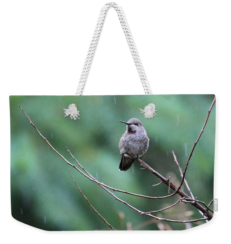 Birds Weekender Tote Bag featuring the photograph Savoring Rain by Rory Siegel