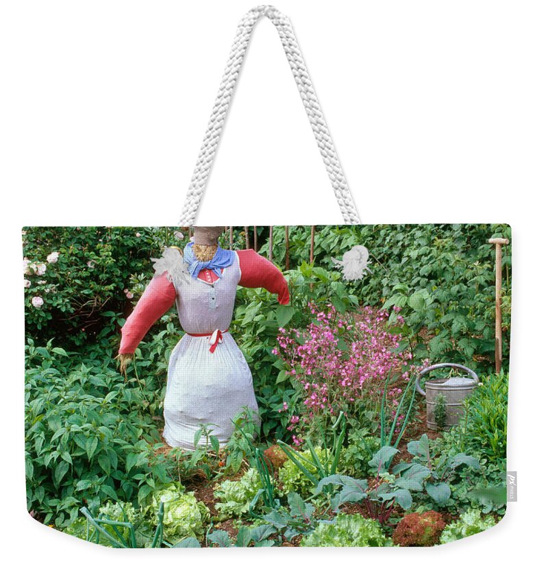 Plant Weekender Tote Bag featuring the photograph Scarecrow In Vegetable Garden by Hans Reinhard