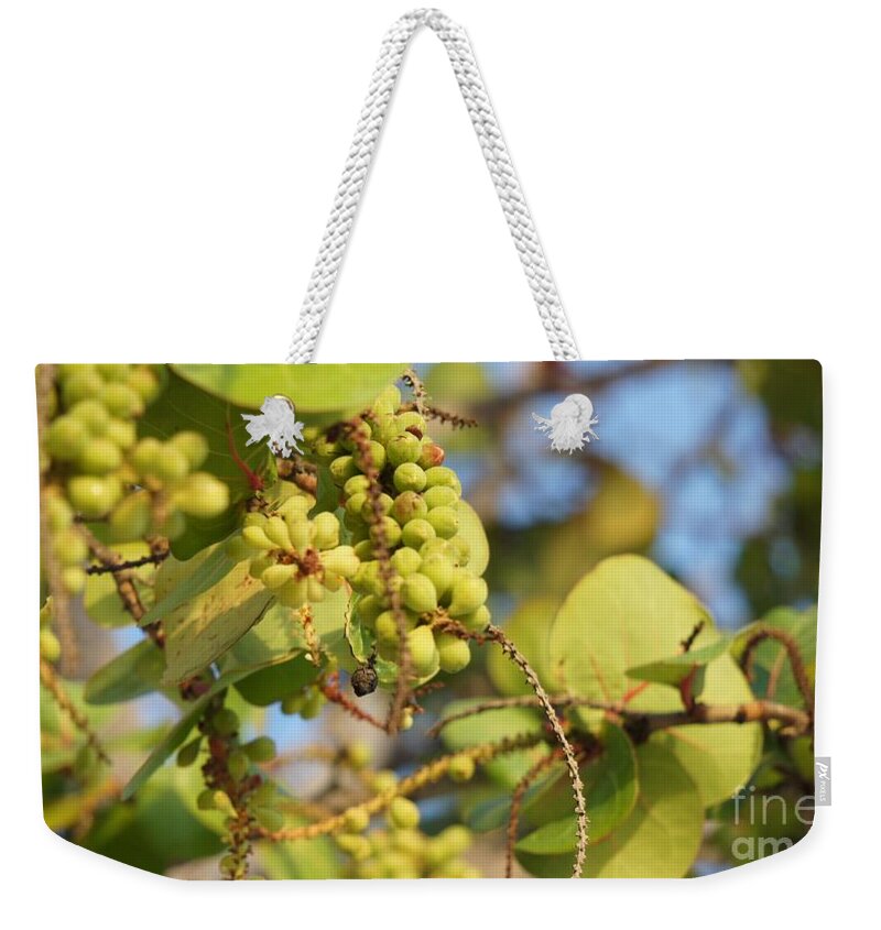 Sea Grapes Weekender Tote Bag featuring the photograph Sea Grapes by Lilliana Mendez