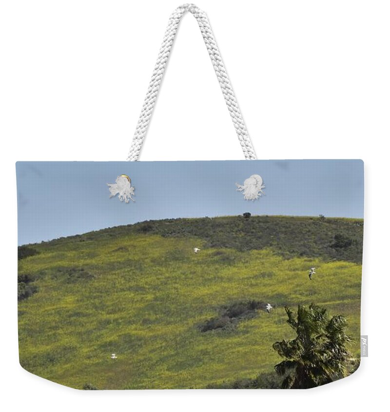 Linda Brody Weekender Tote Bag featuring the photograph Sea Gulls Flying Over Canyon of Yellow Mustard Flowers by Linda Brody