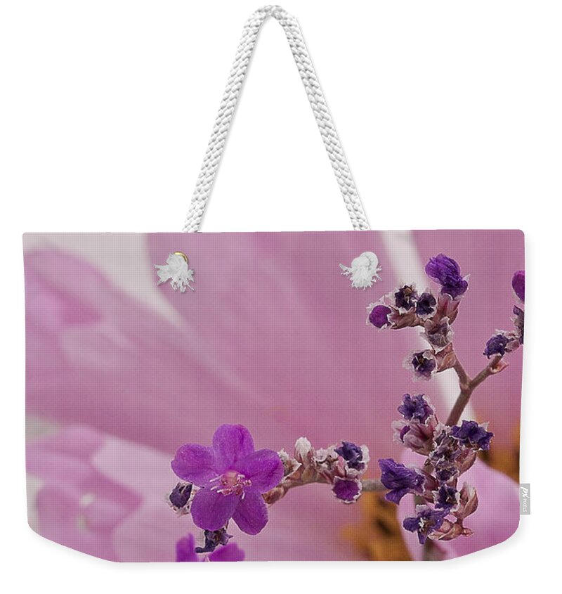 Lavatera Weekender Tote Bag featuring the photograph Sea Lavender Macro by Sandra Foster