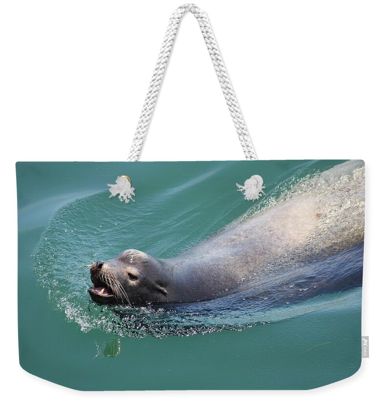 California Weekender Tote Bag featuring the photograph Sea lion by Anthony Trillo