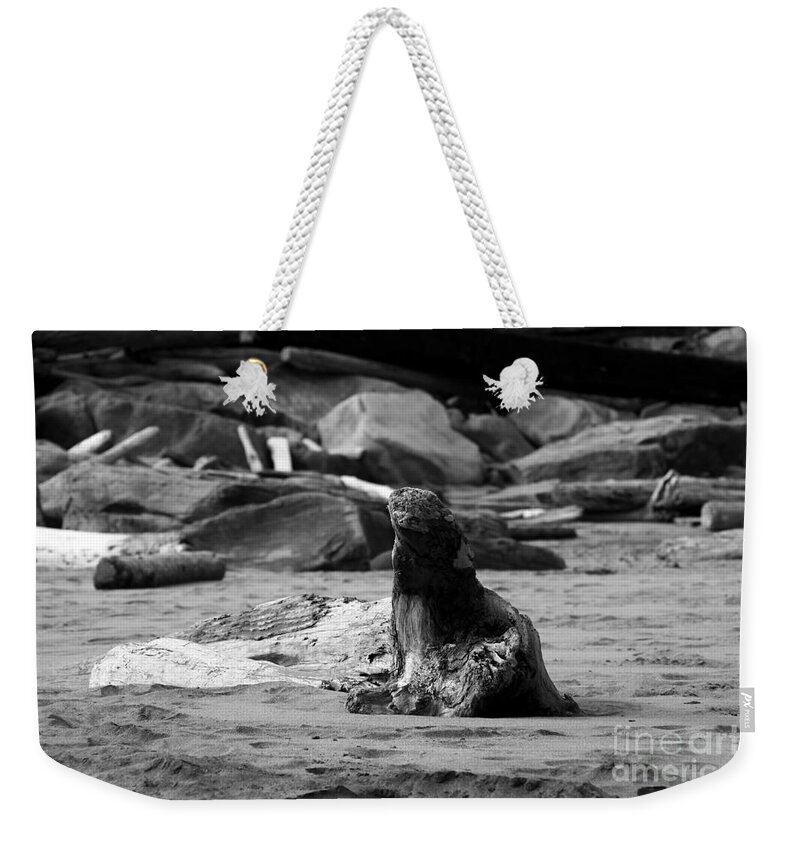 Beaches Weekender Tote Bag featuring the photograph Sea Lion or Driftwood by Kathy McClure