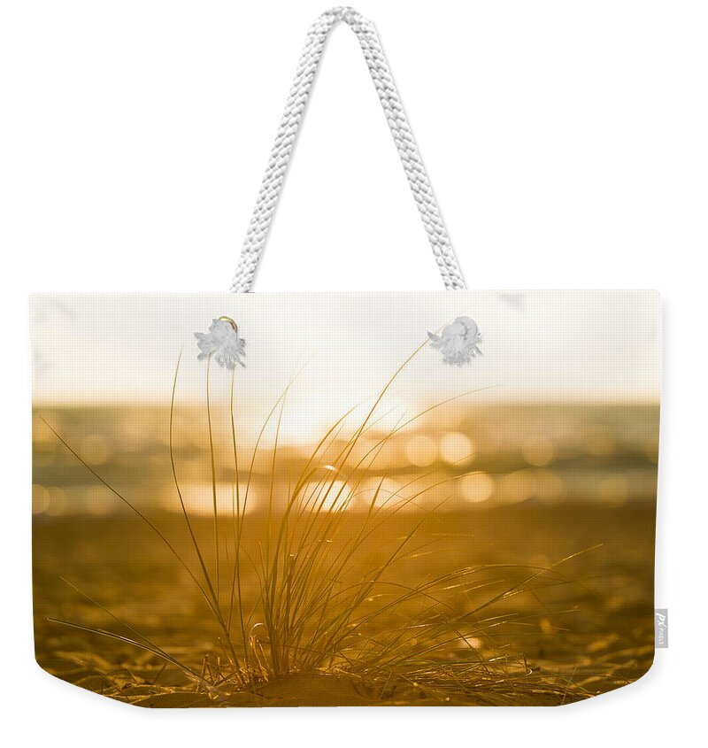 Michigan Weekender Tote Bag featuring the photograph Sea Oats Sunset by Sebastian Musial