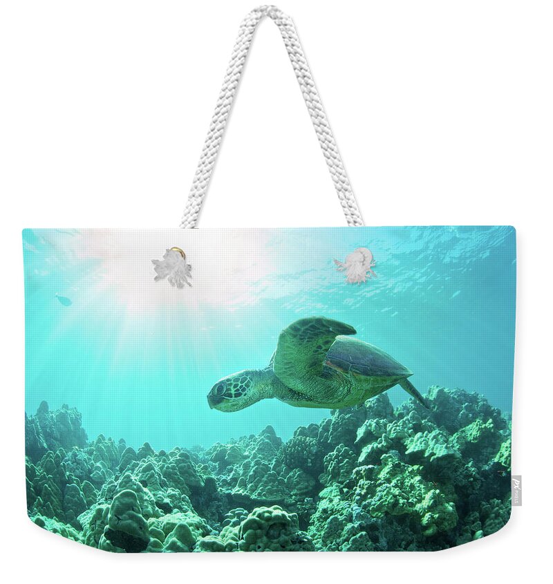 Underwater Weekender Tote Bag featuring the photograph Sea Turtle Light by M Swiet Productions