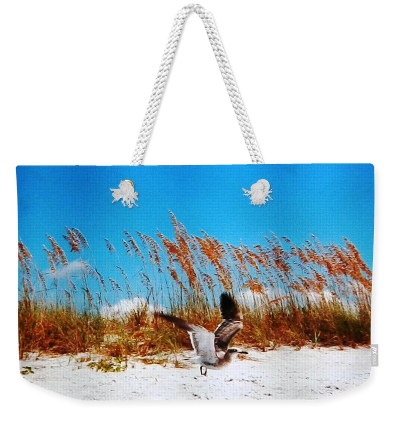 #bright #blue Weekender Tote Bag featuring the photograph Seagull in Flight Beach Landing by Belinda Lee