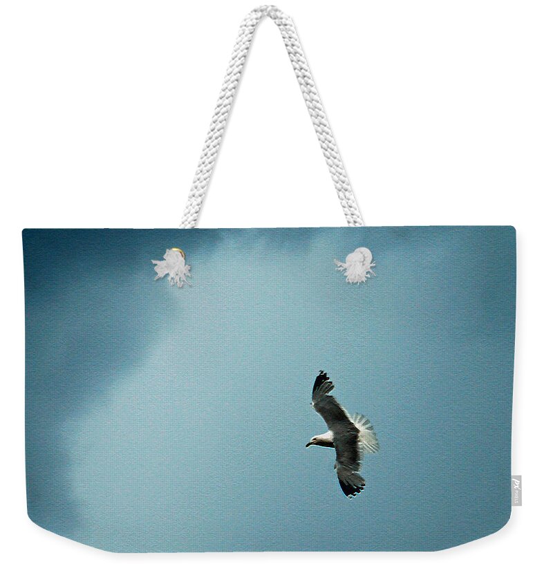 Bird Weekender Tote Bag featuring the photograph Seagull in Flight by Aimee L Maher ALM GALLERY