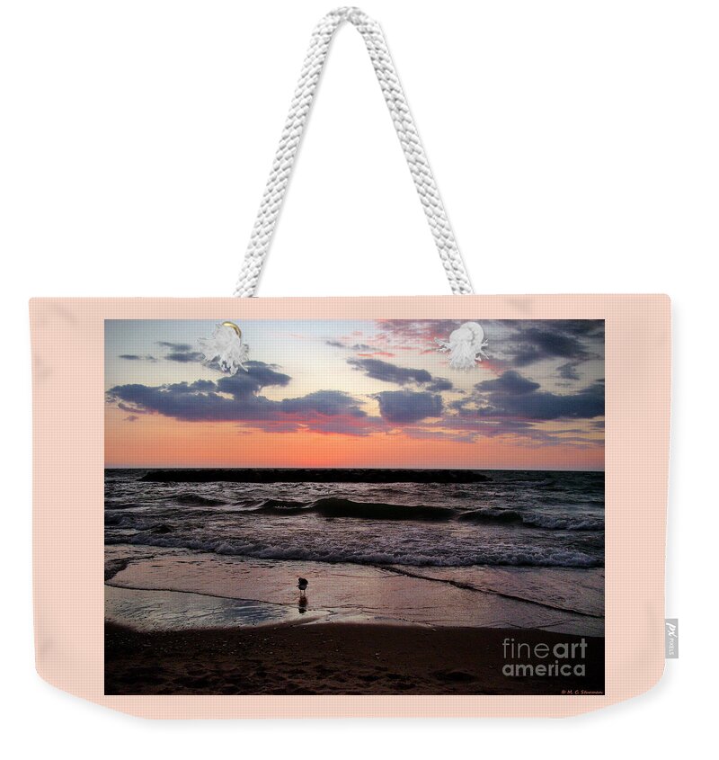 Seagull Weekender Tote Bag featuring the photograph Seagull with sunset by M c Sturman
