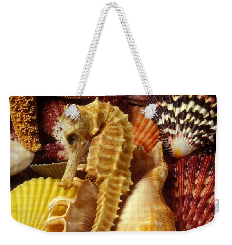 Sea Shells Starfish Weekender Tote Bag featuring the photograph Seahorse among sea shells by Garry Gay