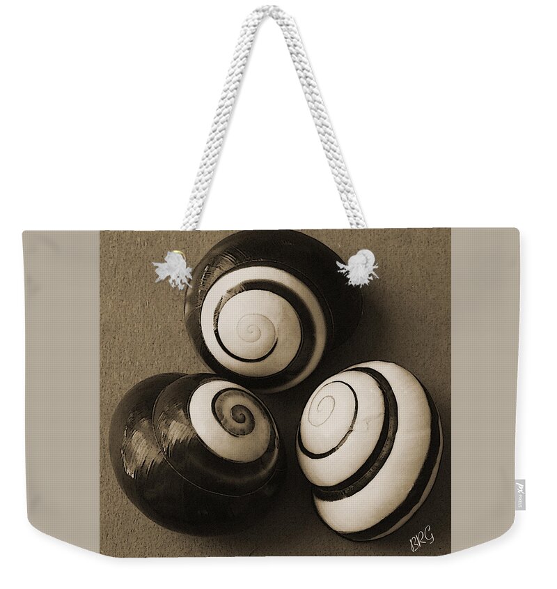 Seashell Weekender Tote Bag featuring the photograph Seashells Spectacular No 28 by Ben and Raisa Gertsberg