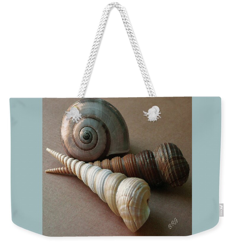 Seashell Weekender Tote Bag featuring the photograph Seashells Spectacular No 29 by Ben and Raisa Gertsberg