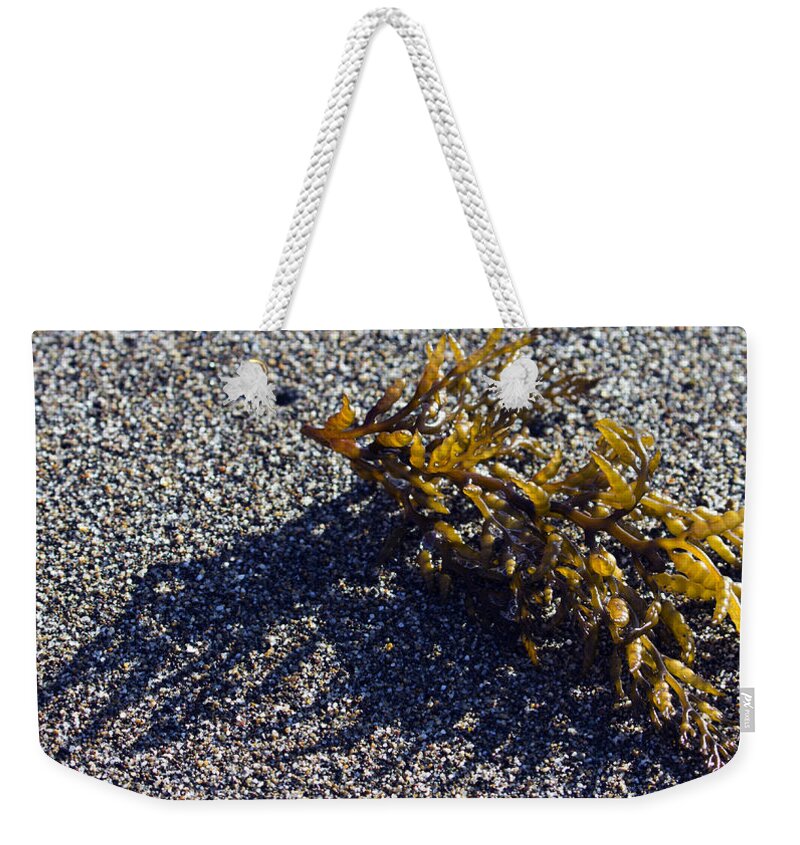 Seaweed Weekender Tote Bag featuring the photograph Seaweed Shadow by Josh Bryant