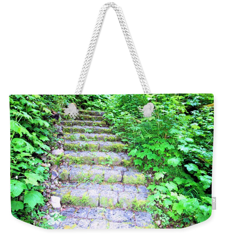 Forest Weekender Tote Bag featuring the photograph Secret Staircase by Nick Gustafson