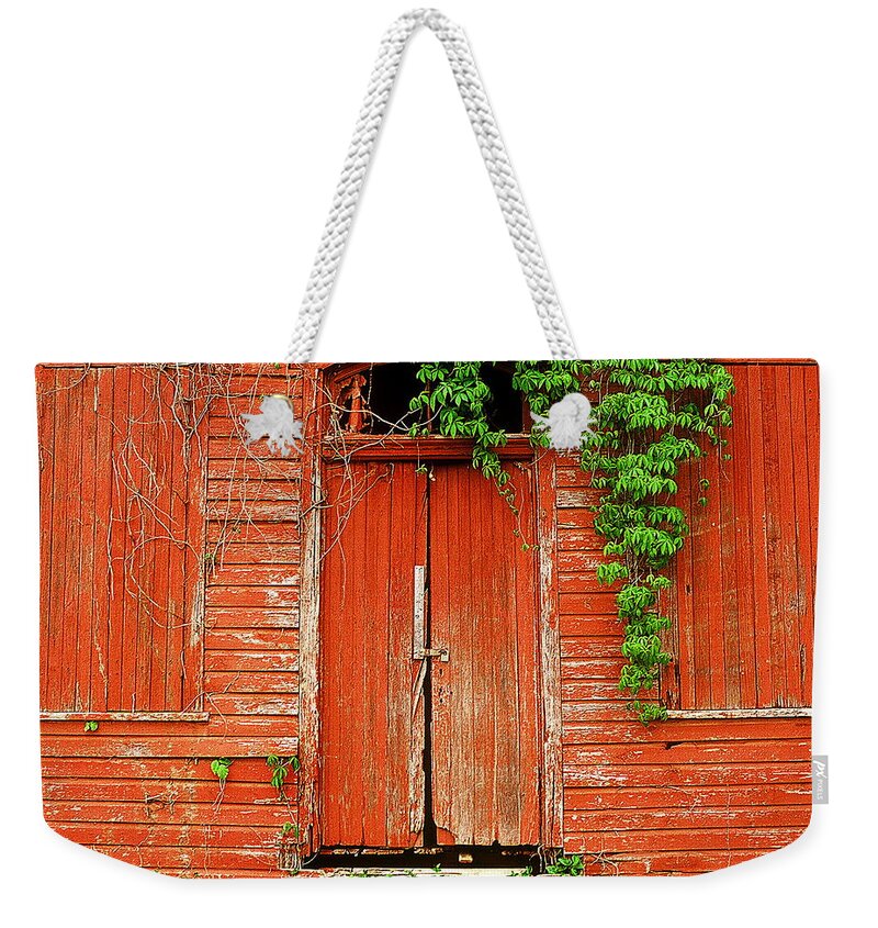 Fine Art Weekender Tote Bag featuring the photograph Secrets by Rodney Lee Williams