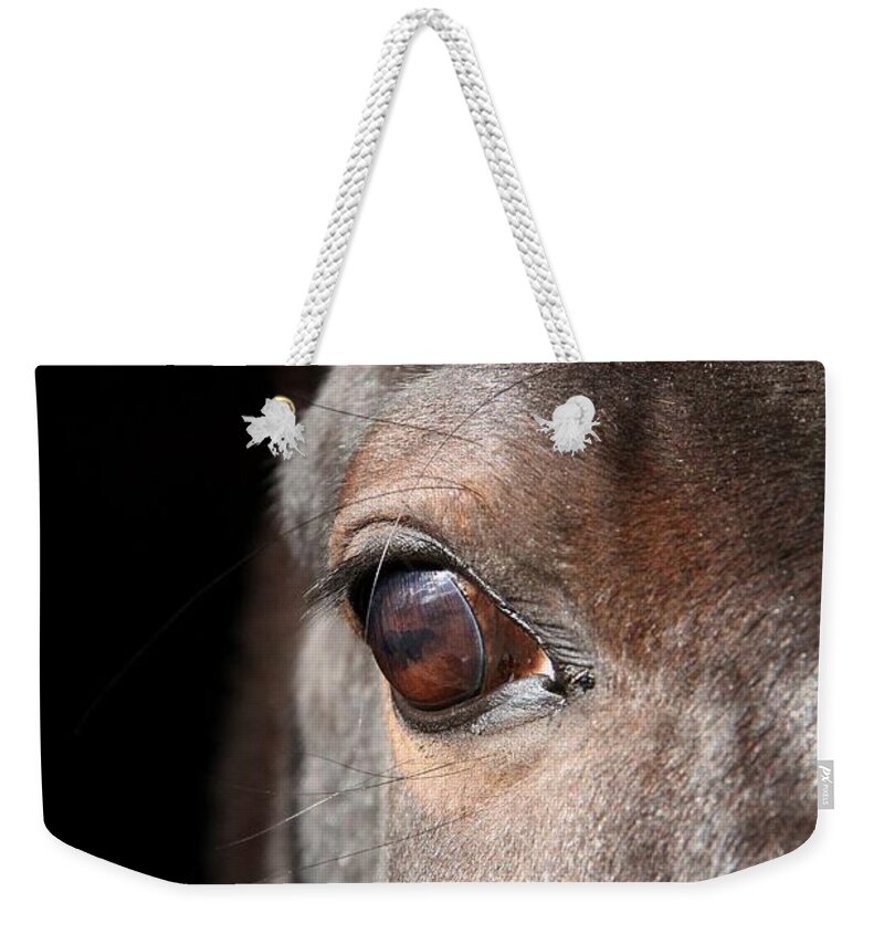 Animal Weekender Tote Bag featuring the photograph See My Soul by Davandra Cribbie