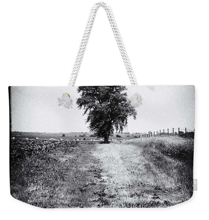 Alone Weekender Tote Bag featuring the photograph Sentinel by Christi Kraft