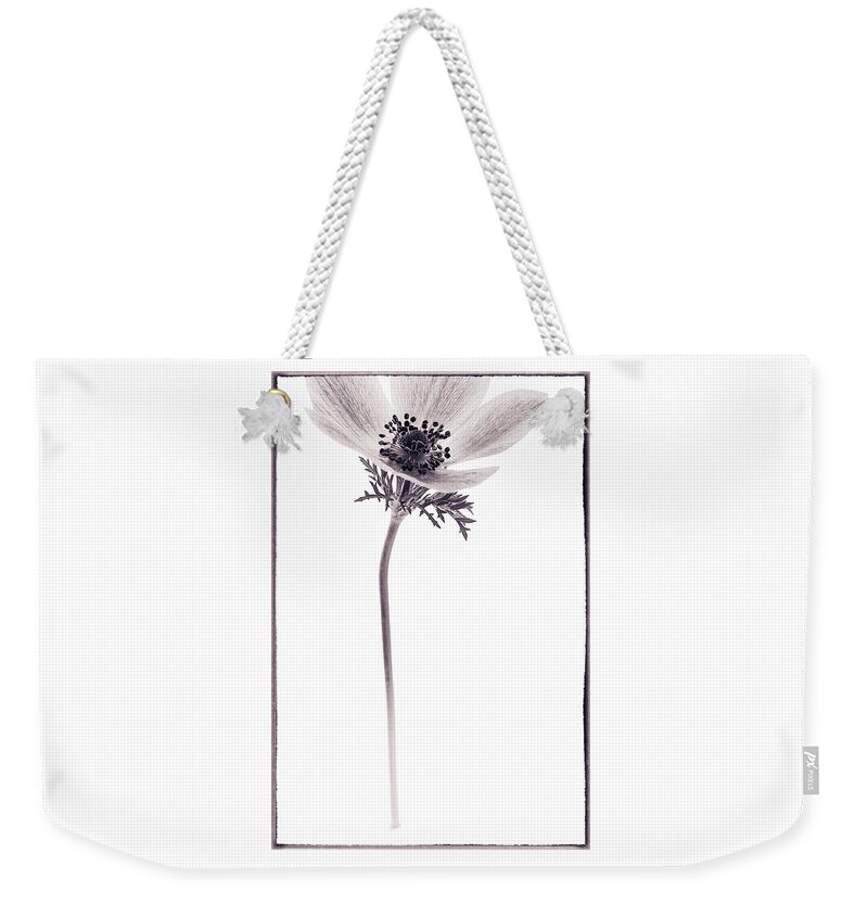 Anemone Weekender Tote Bag featuring the photograph Sepia and Sharp by Caitlyn Grasso