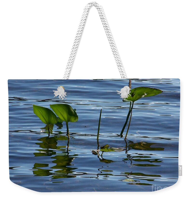 Water Weekender Tote Bag featuring the photograph September Reflections by Jackie Mueller-Jones