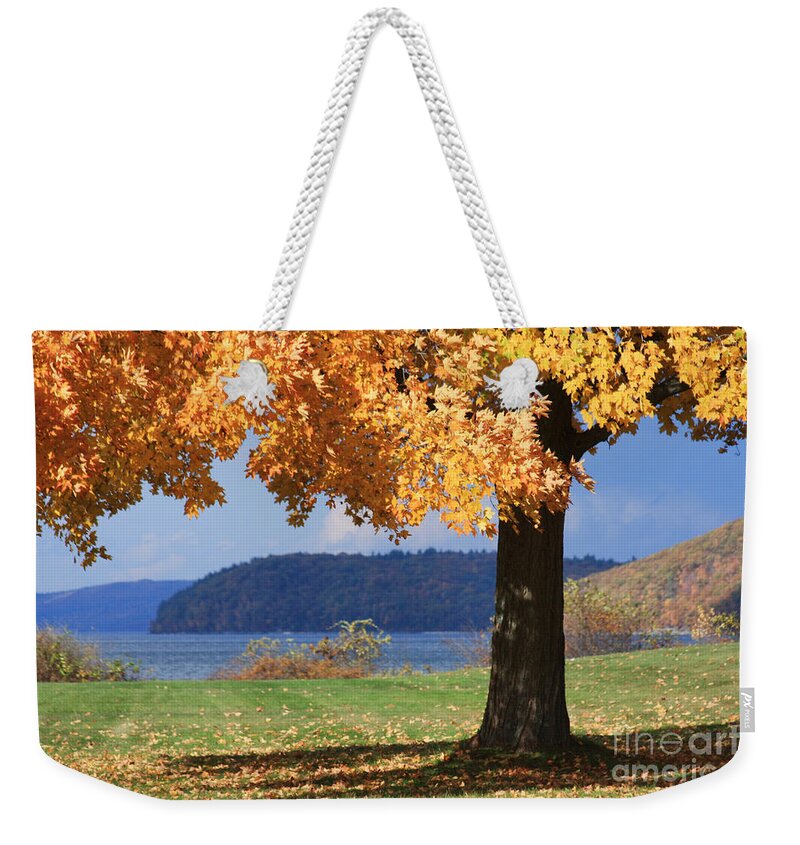 Maple Weekender Tote Bag featuring the photograph Shade Tree in Fall by Jayne Carney