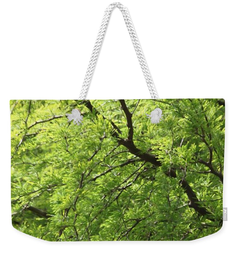 Tree Weekender Tote Bag featuring the photograph Shades Of Green by Amy Gallagher
