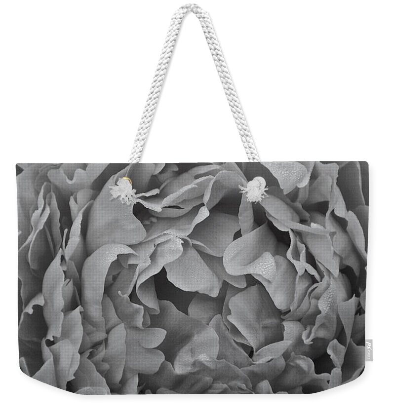 Flower Weekender Tote Bag featuring the photograph Shades Of Peony by Susan Herber