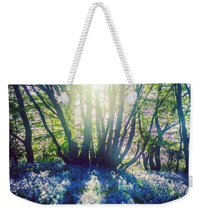 Beautiful Weekender Tote Bag featuring the photograph Shadow Fingers by Aleck Cartwright