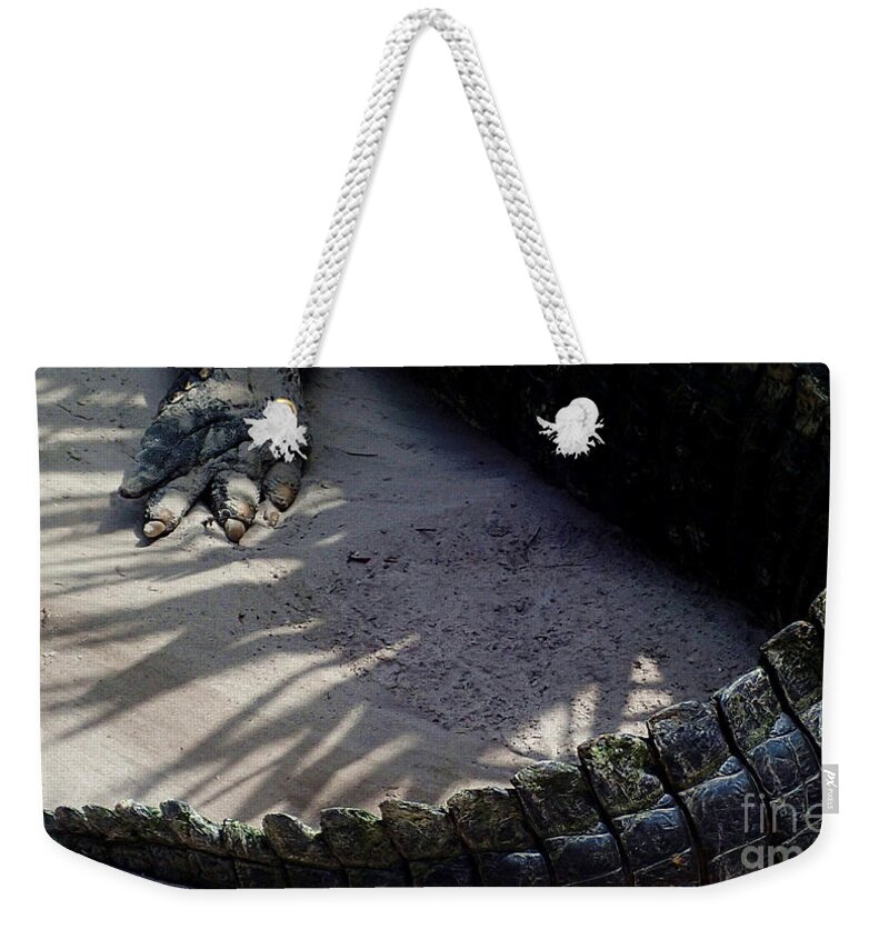 Gator Weekender Tote Bag featuring the photograph Shadow Stalker by Angela Murray