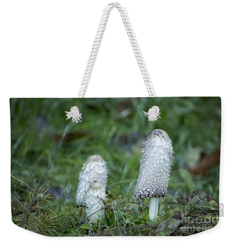 Mushroom Weekender Tote Bag featuring the photograph Shaggy Cap Mushroom No. 3 by Belinda Greb