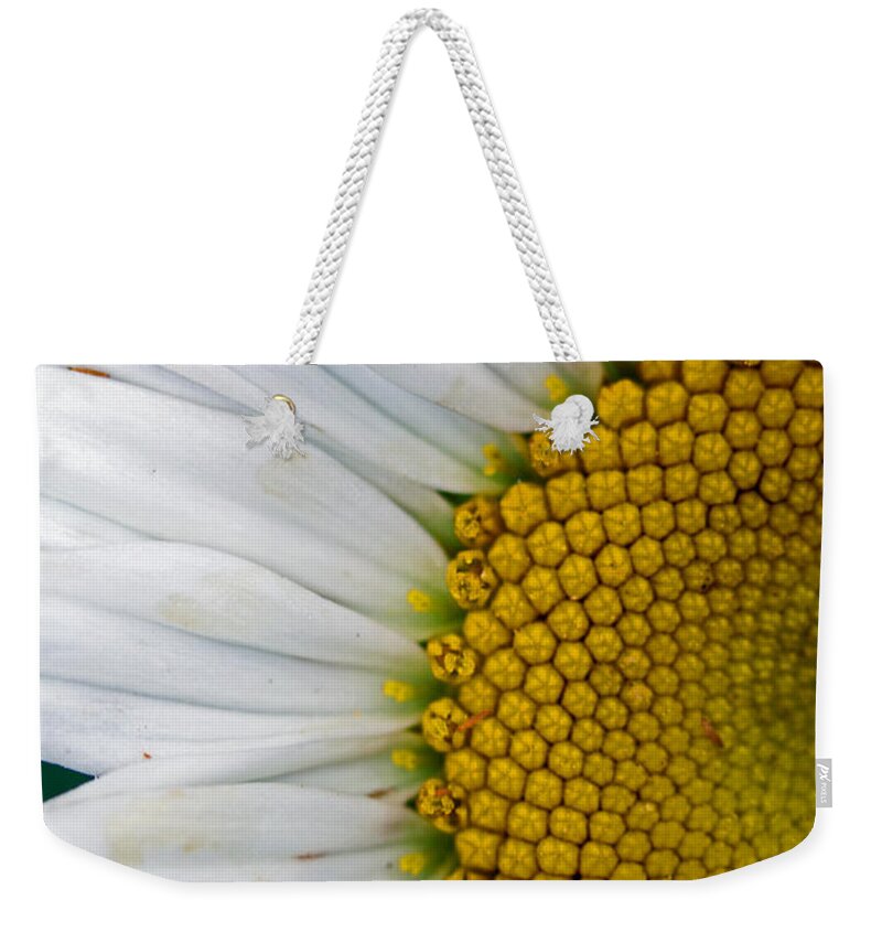 Flowers Weekender Tote Bag featuring the photograph Shasta by Jennifer Robin