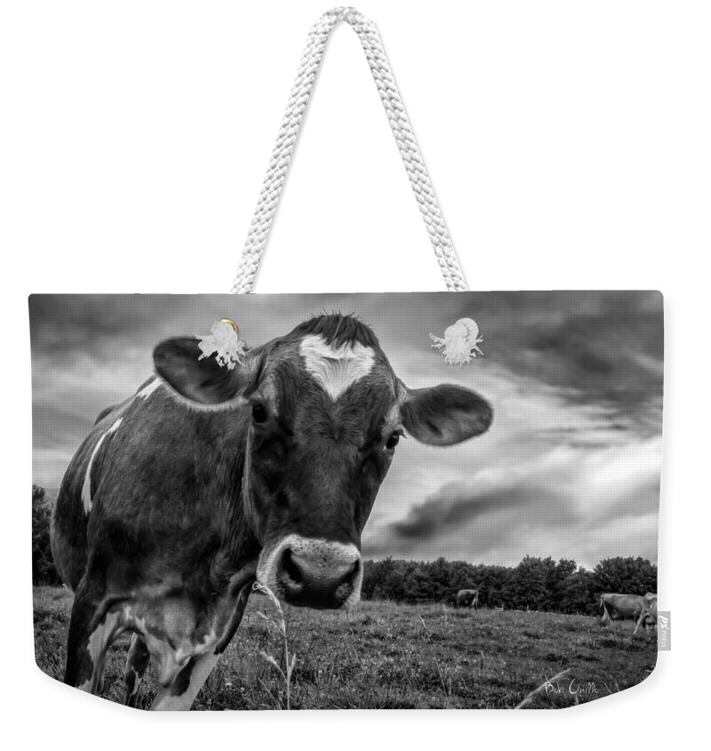 Cows Weekender Tote Bag featuring the photograph She wears her heart for all to see by Bob Orsillo