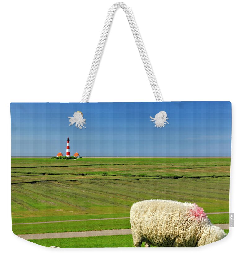 Grass Weekender Tote Bag featuring the photograph Sheep And Lamb On Dike Against by Avtg