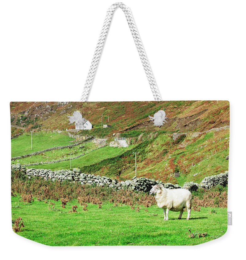 Outdoors Weekender Tote Bag featuring the photograph Sheep On Pasture, Ireland by Espiegle