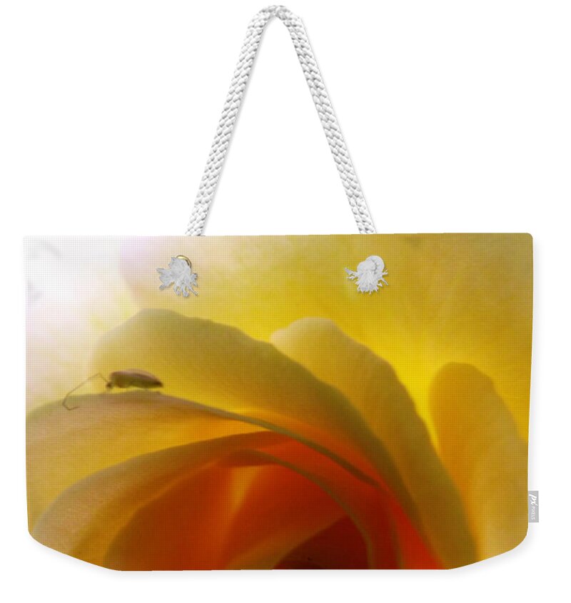 Flower Weekender Tote Bag featuring the photograph Shelter Me From Harm by Robyn King