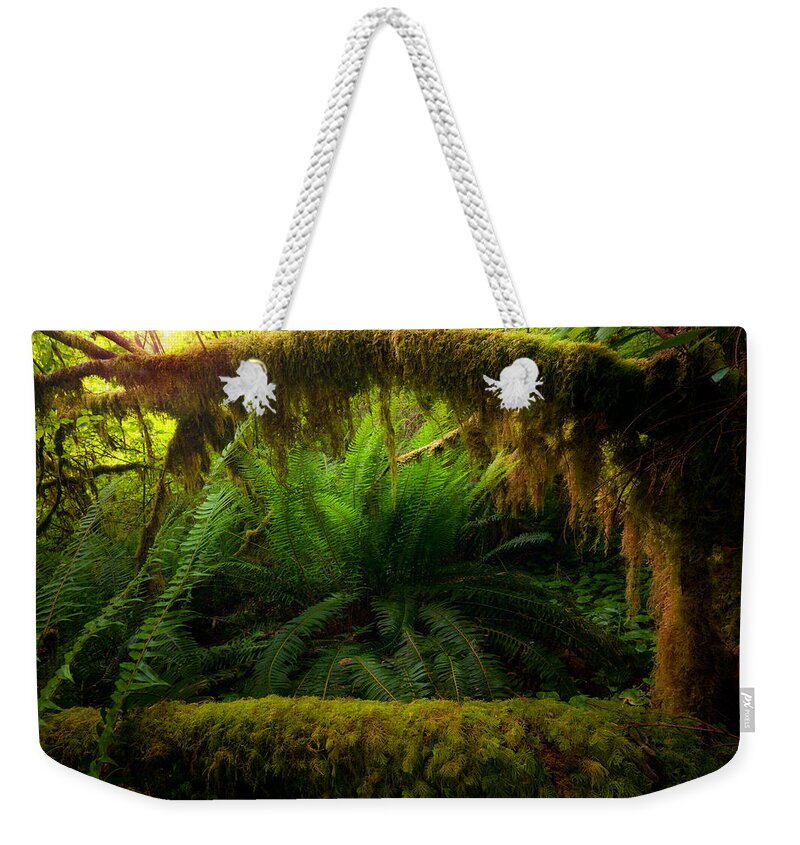 Shelter Weekender Tote Bag featuring the photograph Sheltered Fern by Andrew Kumler