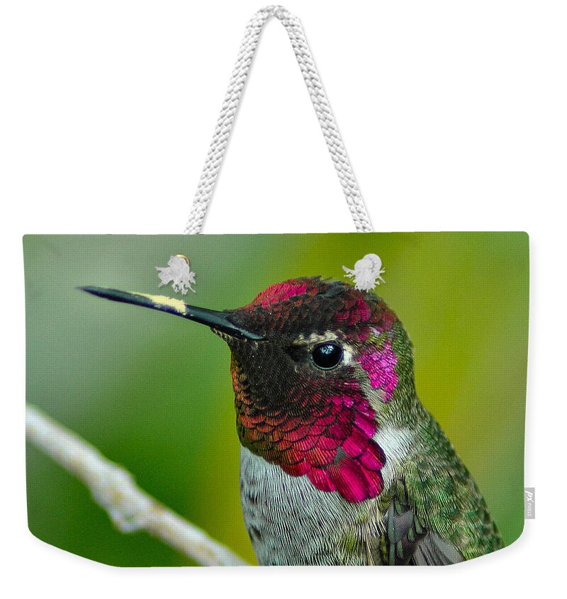 Hummer Weekender Tote Bag featuring the photograph Shining Brightly by Lynn Bauer