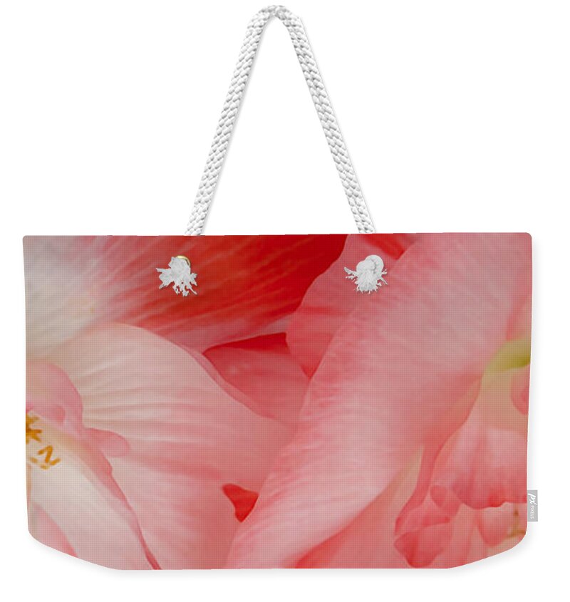 Poppies Weekender Tote Bag featuring the photograph Shirley Poppies by Theresa Tahara