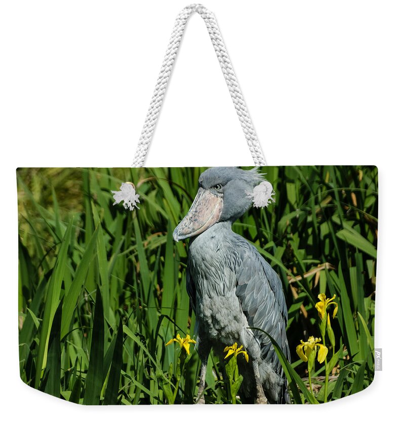 Shoebill Stork Weekender Tote Bag featuring the photograph Shoebill Stork by Georgia Mizuleva