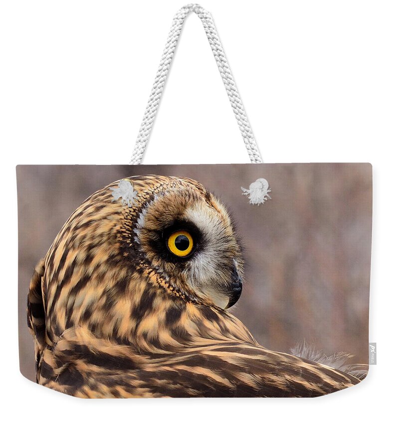 Owl Weekender Tote Bag featuring the photograph Short-eared Owl 1 by Kae Cheatham