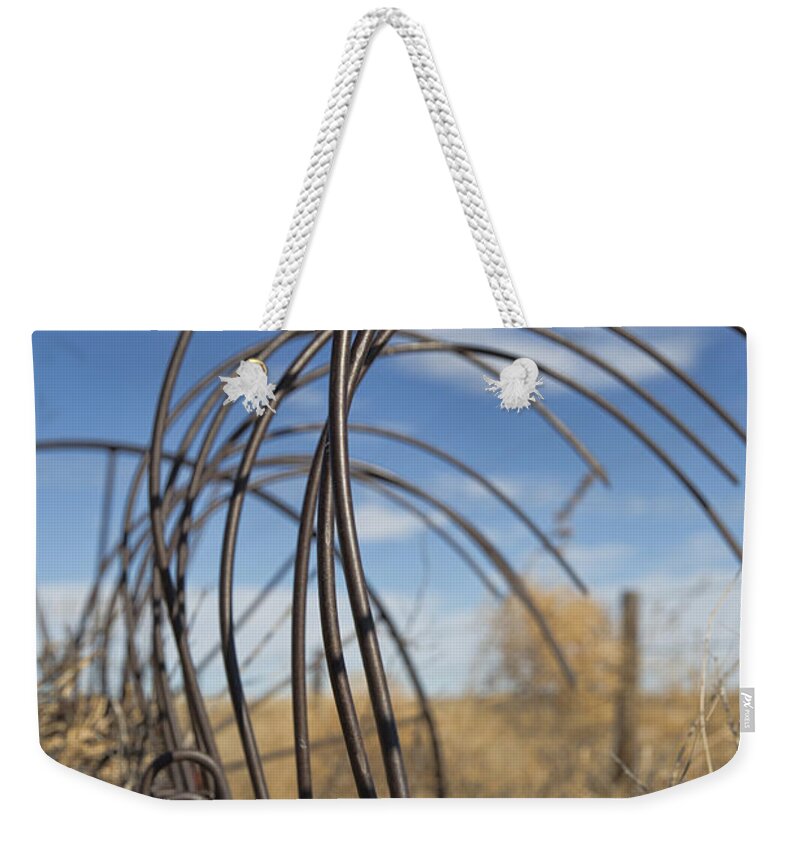Hay Rake Weekender Tote Bag featuring the photograph Show Me Your Teeth by Sylvia Thornton
