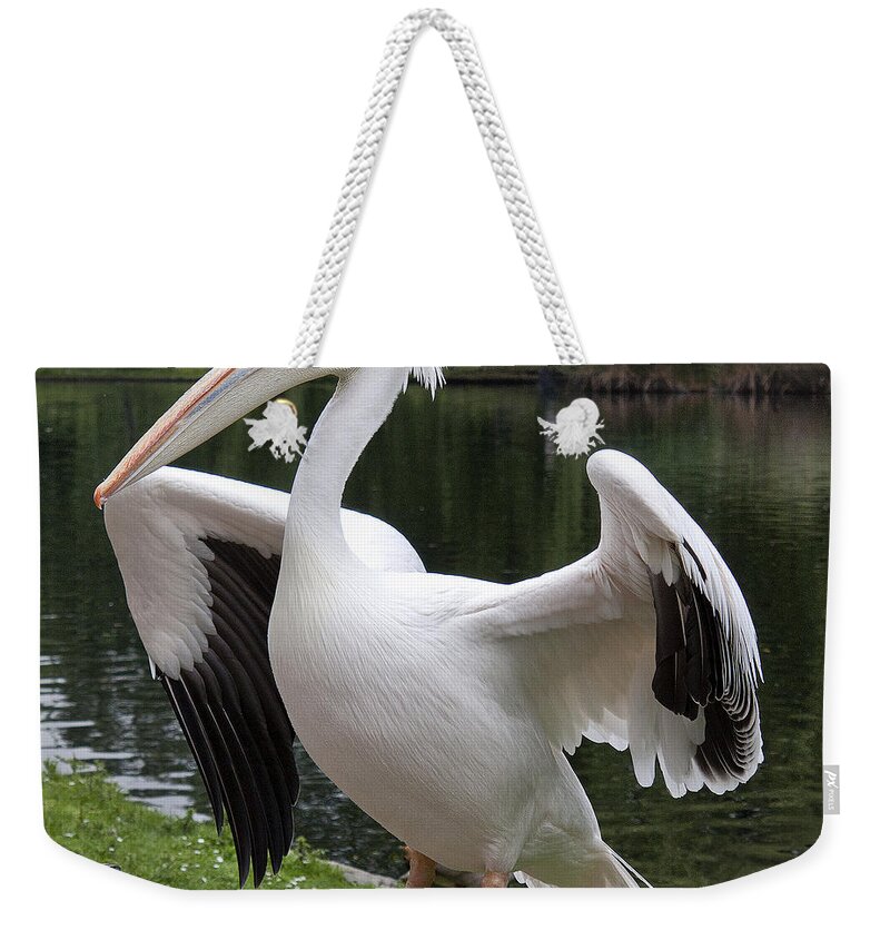 Beak Weekender Tote Bag featuring the photograph Showing off by Shirley Mitchell
