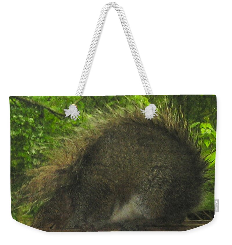  Weekender Tote Bag featuring the photograph Shy Punk Squirrel by R Allen Swezey