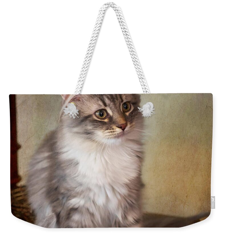 Siberian Weekender Tote Bag featuring the photograph Siberian Forest Kitten II by Louise Heusinkveld