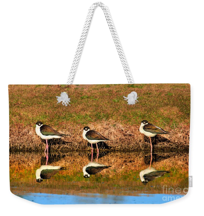 Water Weekender Tote Bag featuring the photograph Siesta Time by Robert Bales
